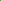 Sugarleaf Organic Stevia Seeds