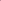 Elegance Pink Diana Sweet Pea Seed