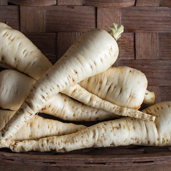 All-American Parsnip Seeds
