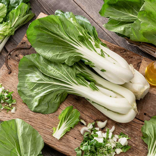 White Stem Pak Choy Seeds